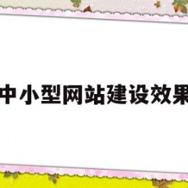 中小型网站建设效果(中小型企业网站设计与建设)