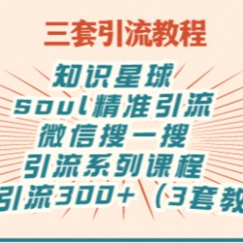 知识星球+soul+微信搜一搜，引流系列课程，每天300+精准粉