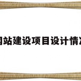 网站建设项目设计情况(网站建设项目设计情况汇报)