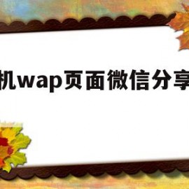 手机wap页面微信分享代码(手机wap页面微信分享代码怎么弄)