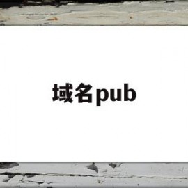 域名pub(域名普通接入)