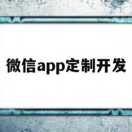 微信app定制开发(微信app制作开发软件)