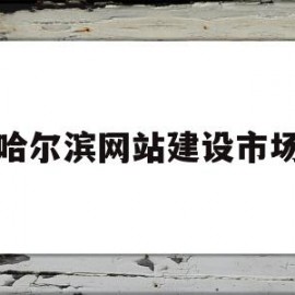 哈尔滨网站建设市场(哈尔滨网站建设哪儿好薇)