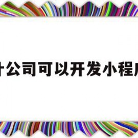 设计公司可以开发小程序吗(设计公司可以开发小程序吗知乎)