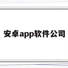 安卓app软件公司(安卓应用软件开发公司有哪些)