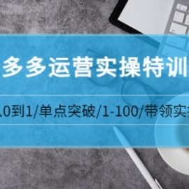 青云:拼多多运营实操特训营：从0到1/单点突破/1-100/带领实操 价值2980元