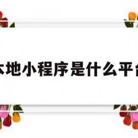 本地小程序是什么平台(本地小程序的推广方式)