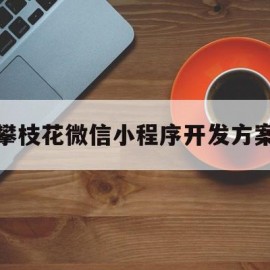 攀枝花微信小程序开发方案(攀枝花微信小程序开发方案公示)