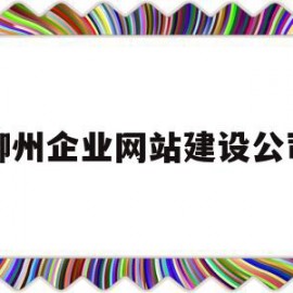 柳州企业网站建设公司(柳州企业网站建设公司招聘)