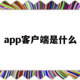 app客户端是什么(app客户端是什么语言开发的)