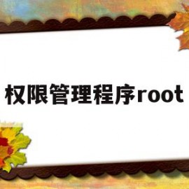 权限管理程序root(权限管理程序root手机vivoy66)