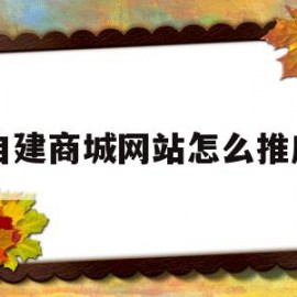 自建商城网站怎么推广(自建商城网站怎么推广的)