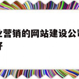 专业营销的网站建设公司哪家好(专业营销的网站建设公司哪家好呢)