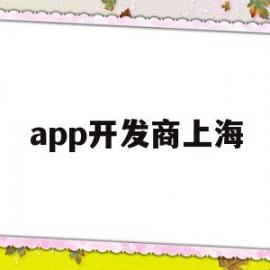 app开发商上海(上海app开发定制公司)