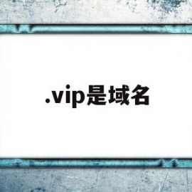 .vip是域名(vip域名好收录吗)