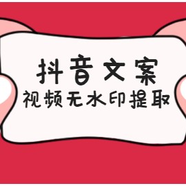 快速提取抖音文案和无水印视频方法