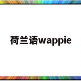 荷兰语wappie(荷兰kvknumber什么意思)