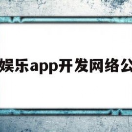 新娱乐app开发网络公司(新娱乐app开发网络公司怎么样)