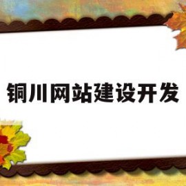 铜川网站建设开发(铜川建设工程信息网)