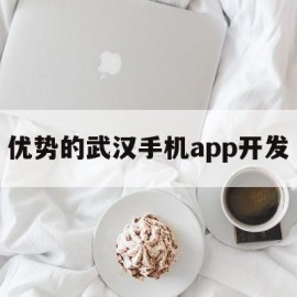 优势的武汉手机app开发(武汉软件开发公司都分布哪里)