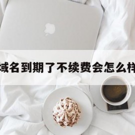 域名到期了不续费会怎么样(域名到期没有及时续费怎么办)