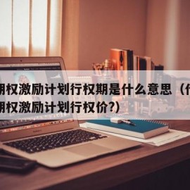 股票期权激励计划行权期是什么意思（什么是股票期权激励计划行权价?）