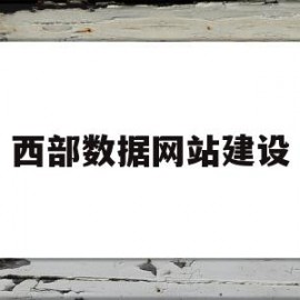 西部数据网站建设(西部数据公司全称是什么)