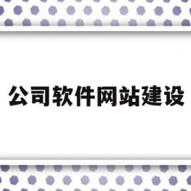 公司软件网站建设(软件网站设计)