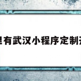 哪里有武汉小程序定制开发(哪里有武汉小程序定制开发的)