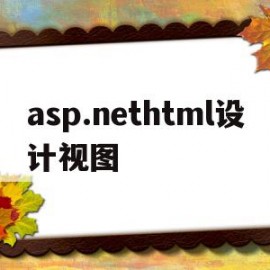 asp.nethtml设计视图的简单介绍