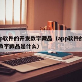 app软件的开发数字藏品（app软件的开发数字藏品是什么）