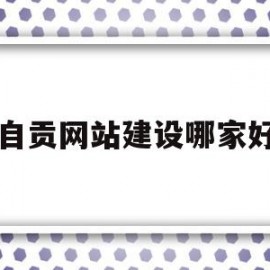 自贡网站建设哪家好(自贡seo网络优化招聘)