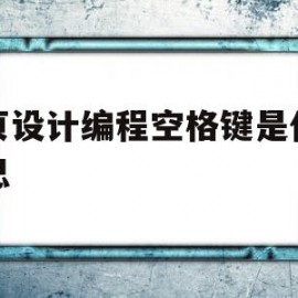 网页设计编程空格键是什么意思(网页设计编程空格键是什么意思呀)