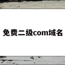 免费二级com域名(免费二级com域名网站)