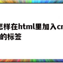 怎样在html里加入cms的标签(在html中加入css的方法有几种)