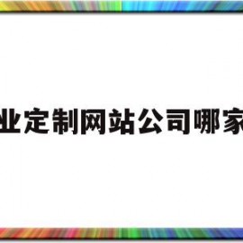 企业定制网站公司哪家好(网站定制公司kinglink)