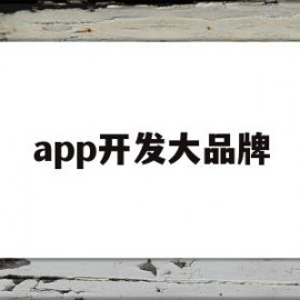 app开发大品牌(app开发的知名公司有哪些)