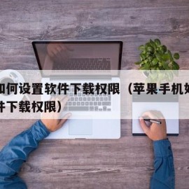 苹果如何设置软件下载权限（苹果手机如何设置软件下载权限）