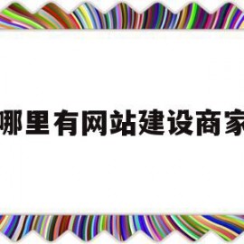 哪里有网站建设商家(哪里网站建设联系方式)