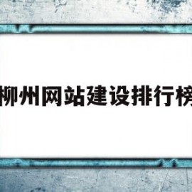 柳州网站建设排行榜(柳州大型网站设计公司)