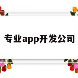 专业app开发公司(专业app开发公司有哪些)