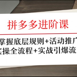 拼多多进阶课 掌握底层规则+活动推广+实操全流程+实战引爆流量