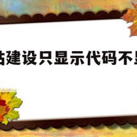 网站建设只显示代码不显示图(网站建设只显示代码不显示图片怎么办)