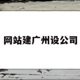 网站建广州设公司(广州网站建设方案开发)