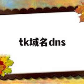 tk域名dns(tk域名注册不了)