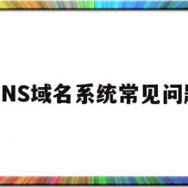 DNS域名系统常见问题(域名dns被污染解决办法)