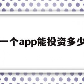 一个app能投资多少(一个app多少用户可以盈利)