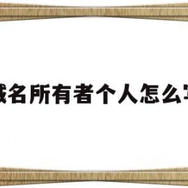 域名所有者个人怎么写(域名所有者是填写公司还是个人名称)