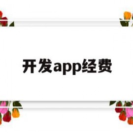 开发app经费(app开发的费用)