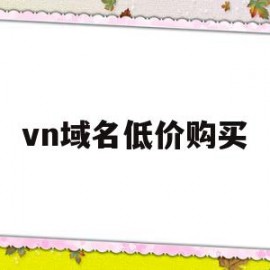 vn域名低价购买的简单介绍